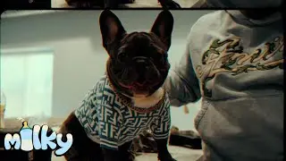 DgQue36 - Walking Lick Freestyle (Official Music Video)