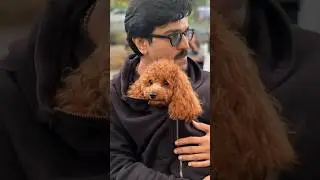 Ramcharan with his Dog❤️