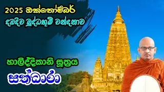 2025 ඔක්තෝම්බර් දඹදිව බුද්ධ භූමි වන්දනාව | හාලිද්දිකානි සූත්‍රය | සත්ධාරා | @dahamaranatours