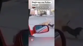 Desi Oyo  || Oyo me police aagaye || #funny #freefire #comedyvideo #oyo