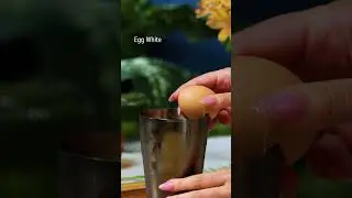 Plum Ginger Gin Sour