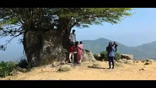 #Ponmudi # Tree #kerala #tourism #viral 
