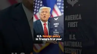 U.S. foreign policy in Trump&rsquo;s first year