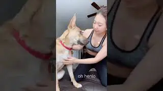 Hugging My Foster Dog For Too Long [SHE FELL]