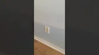 Big Green Couch