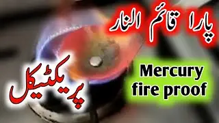 Making a Gold | Para Qaim Naar | Mercury Fire proof | پارا قائم النار | Urdu/Hindi