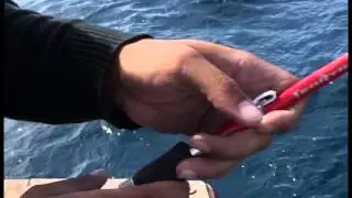En action sur une Tenryu super mix evo  avec une tr&egrave;s grosse pelamide