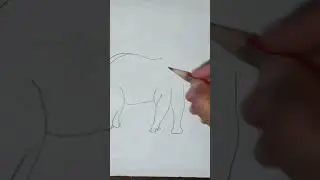 Draw a Elephant drawing || step by step || Easy drawing # shorts