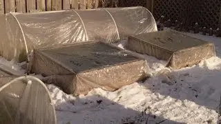 The Best Location For a Winter Garden
