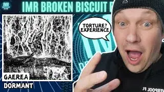 GAEREA - Dormant | Torture Video Experirence? [ Music Reaction ]