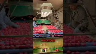 How Potatoes are graded