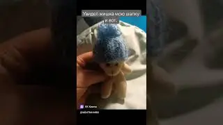 #cute#history#music#новыйгод УВИДЕЛ МИШКА ШАПКУ...