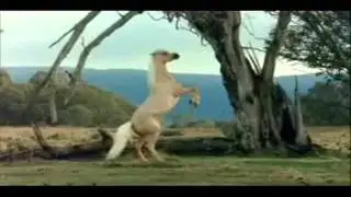 I will always return Mustangs/Movies