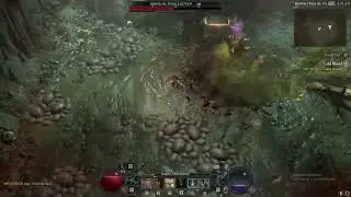 DIABLO 4 ROGUE POISON BUILD FAST BOSS KILL