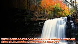 Exploring Noccalula Falls Park A Hidden Gem in Alabama's Natural Beauty