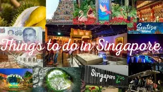 Things to do in Singapore | Sanu - The Sunshine ⛅