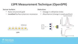 General SPR Overview