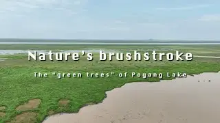 Nature's brushstroke: The 