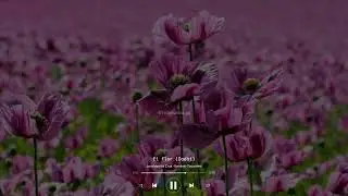 Ei Flor (Dod&oacute;i) Xote Feito Por IA // Suno AI Music by felipesouzagx // #youtube #music #ias #letra