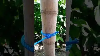 strong knots are easy to untie #knot #diy #fyp #shorts #tricks #tutorial #homemade #shortvideo