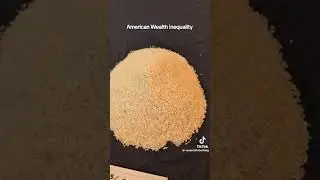 American wealth inequality visualized with grains of rice