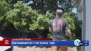 North Syracuse man said tree from school property damaged car