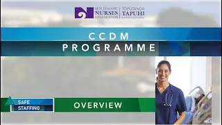1. CCDM Overview