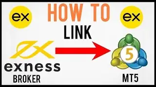 Link Exness to MT5 