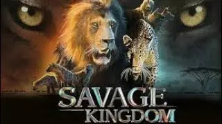 Official Trailer | Savage Kingdom