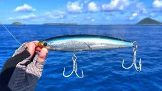 ビッグルアーで巨大魚が釣りたい