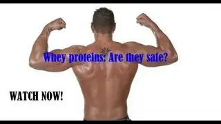 Whey Proteins: Are they safe?