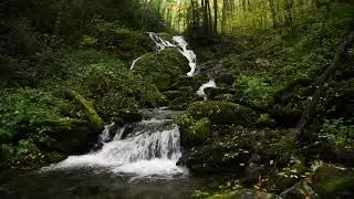Deep Sleep Calm | Relaxing Music for Restful Night