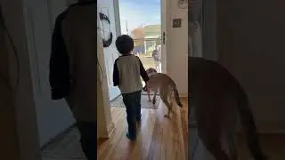 My 4 year old pointing to our no soliciting sign 😂