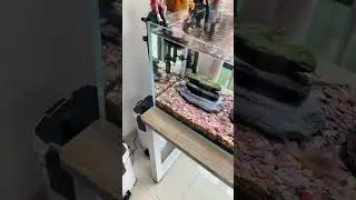 Lọc Th&ugrave;ng Sunsun Xiaoli XWA C&oacute; Sẵn Đ&egrave;n UV Tiện Lợi #locthungbeca #locsunsun #locbeca