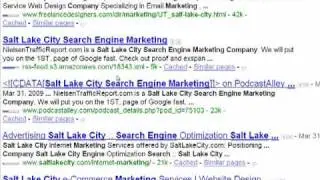 Salt Lake City Internet Advertising Company