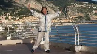 Qigong Flamingo