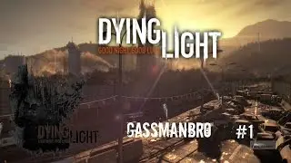 Dying light broken world #1