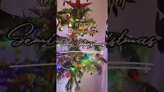 christmas celebrations in icon english medium school #rajahmundry #enjoyment