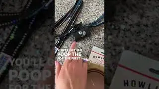 Pawfectly Packaged - Dog & Dog Mom Summer Box