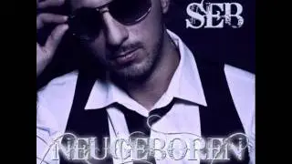 SEB feat. Mike K. Downing - DEINE ENTSCHEIDUNG [NEUGEBOREN]
