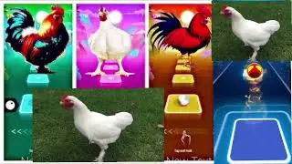 Funny Roosters🐓 🆚 Funny Chickens 🐔 - Coffin dance song 🎶 (cover ) -Tiles Hop EDM RushTiles hop