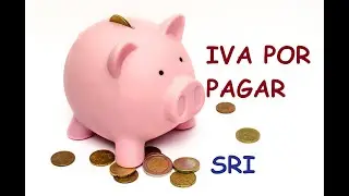 DECLARACION IVA 2020, muy fácil  I SRI
