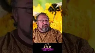 A bee is really a fish -- according to California [] #news #bees #shorts #california