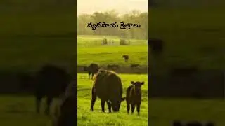 AP TET + DSC 10th, Class Short 266 In Telugu#shorts
