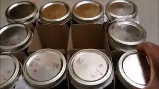 3 Month Vanilla Extract Check