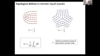 CSP2020: Dense Active Matter, Julia Yeomans