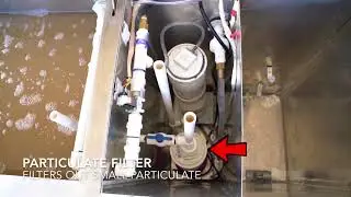 Sustainable Water Recycling: Greywater System for Drought Plagued Countries