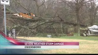 House damaged after tree falls on roof in Daviess Co.