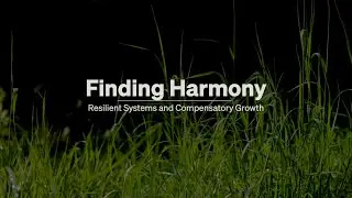 Finding Harmony: Resilient Systems and Compensatory Growth