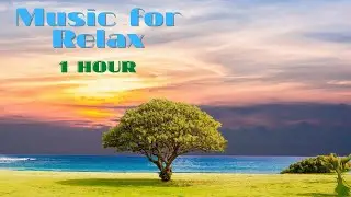 🍀Nature🍀 relaxation music🍀meditation🍀sleep🍀spa🍀 soul🍀